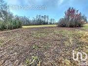 Photo 1 - Terrain à JOUY-SUR-MORIN