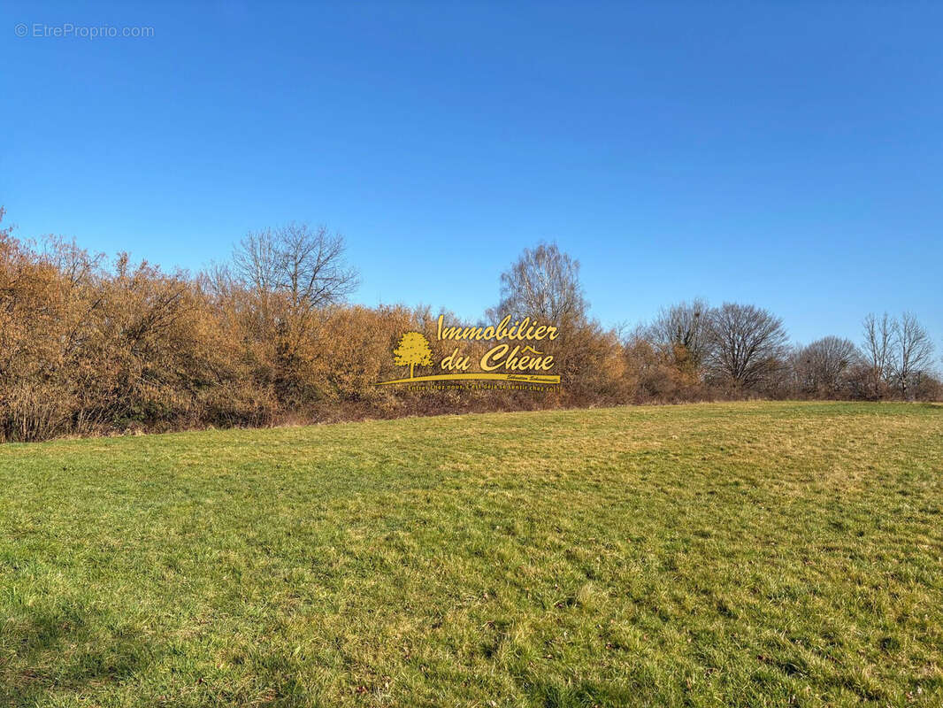 Terrain à BOUHANS-LES-LURE