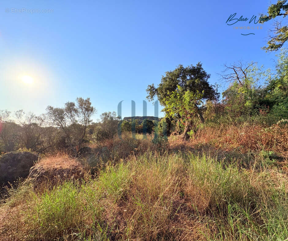 Maison à ROQUEBRUNE-SUR-ARGENS