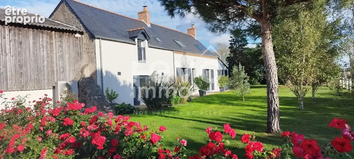 Mozé sur Louet, longère de charme entièrement restaurée sur un terrain 7750 m² - photo 3