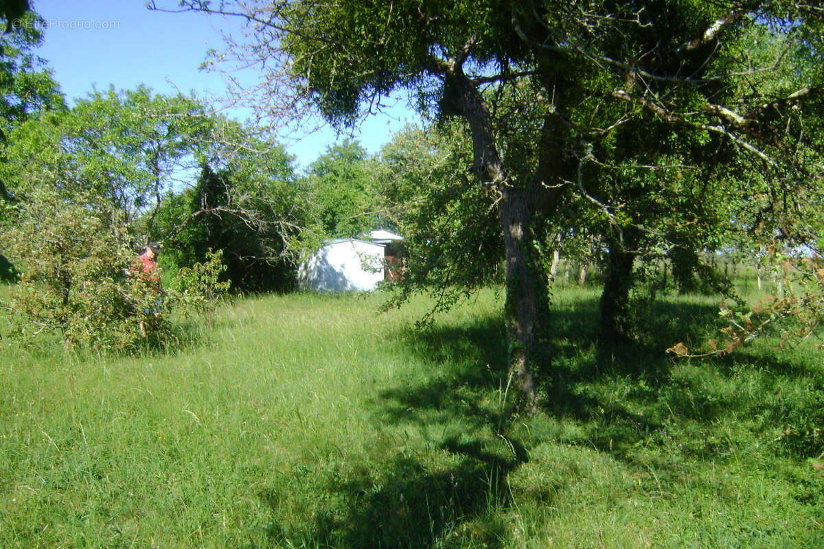 Terrain à OUZOUER-SUR-TREZEE