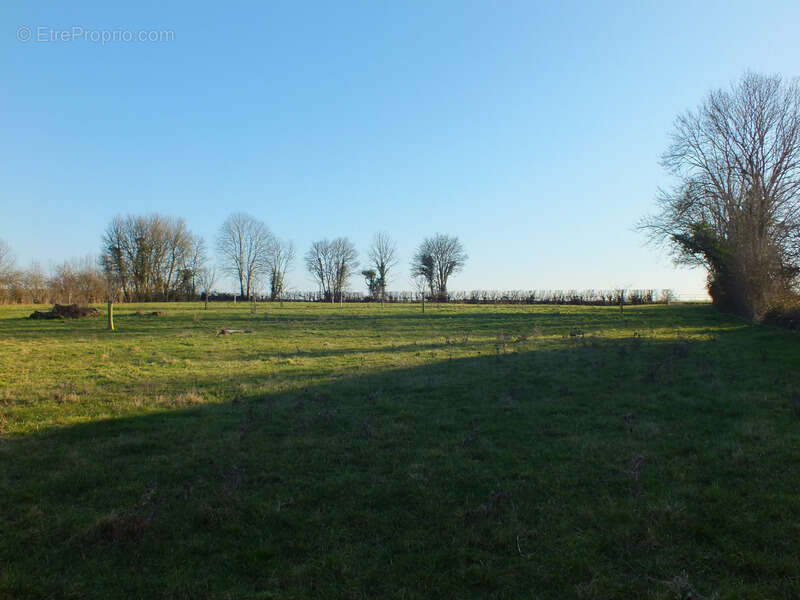 Dpt Côte d'Or (21), à vendre MUSIGNY terrain - Terrain de 5 990,00 m² - photo 2