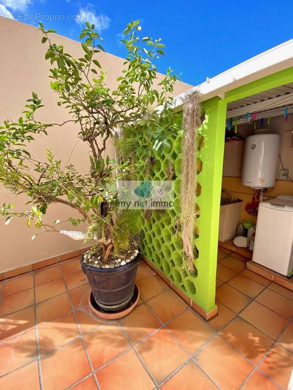 Appartement à POINTE-A-PITRE