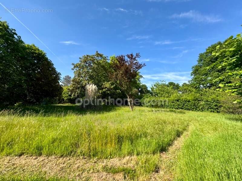 Maison à SAINT-SULPICE-LES-FEUILLES