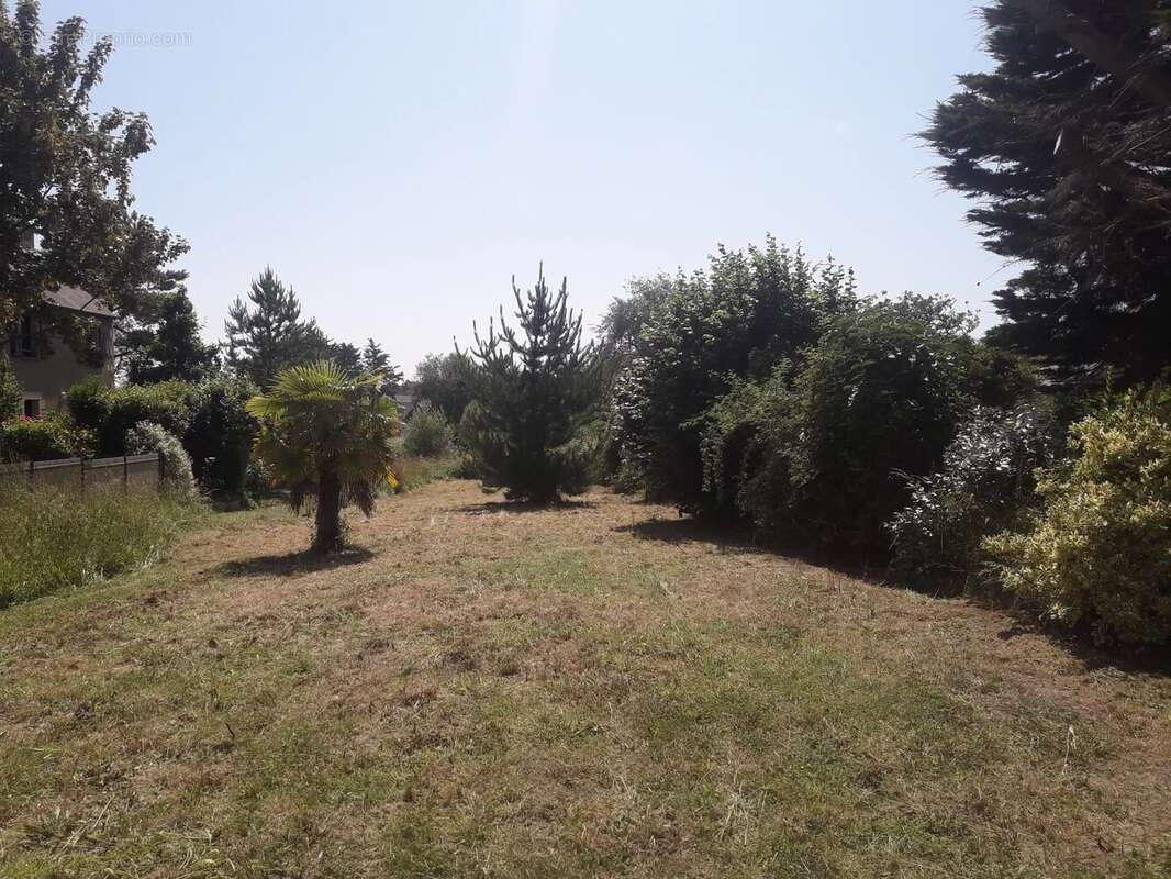 Terrain à SAINT-COULOMB