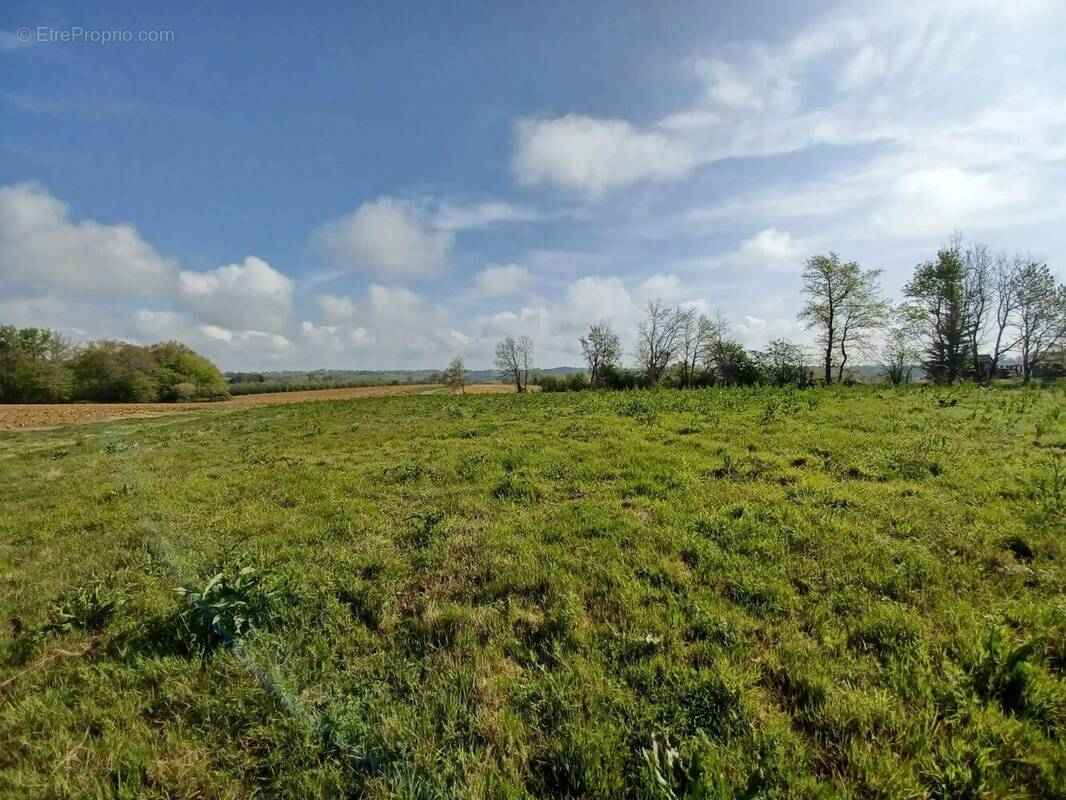 Terrain constructible à vendre | Magnan | Gers | Terrain constructible de 3690 m2 - Calme et belle vue - Terrain à MAGNAN