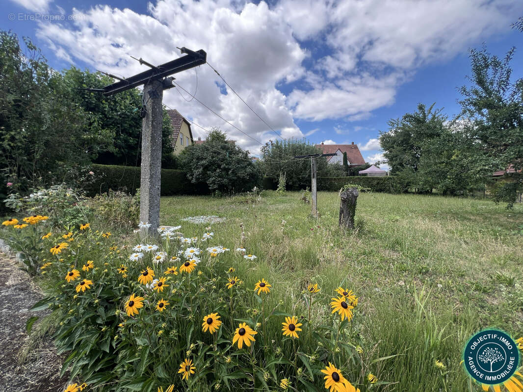 Terrain à WILLGOTTHEIM