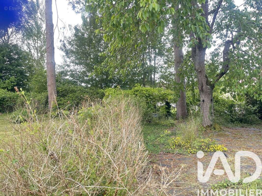 Maison 90 m² à Brannay  - photo 6