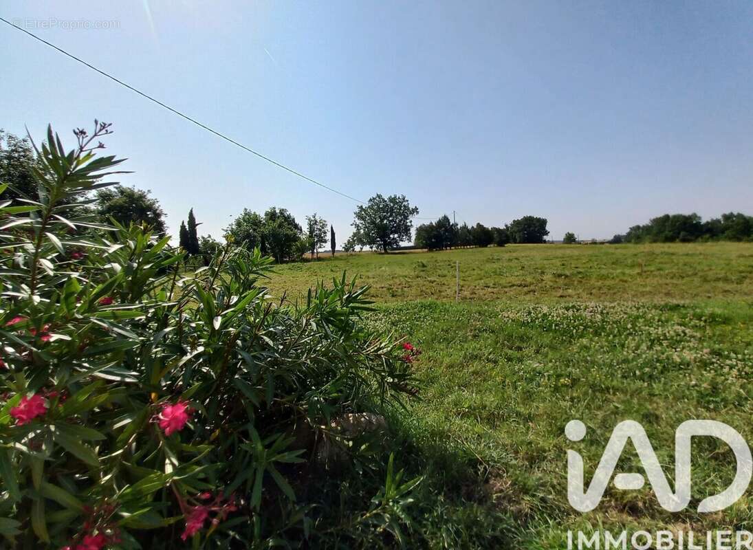 Maison 132 m² à Auvillar  - photo 7