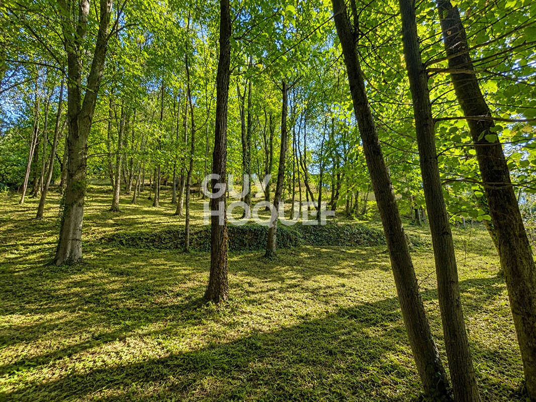 Terrain Thueyts 1431 m2 - photo 3