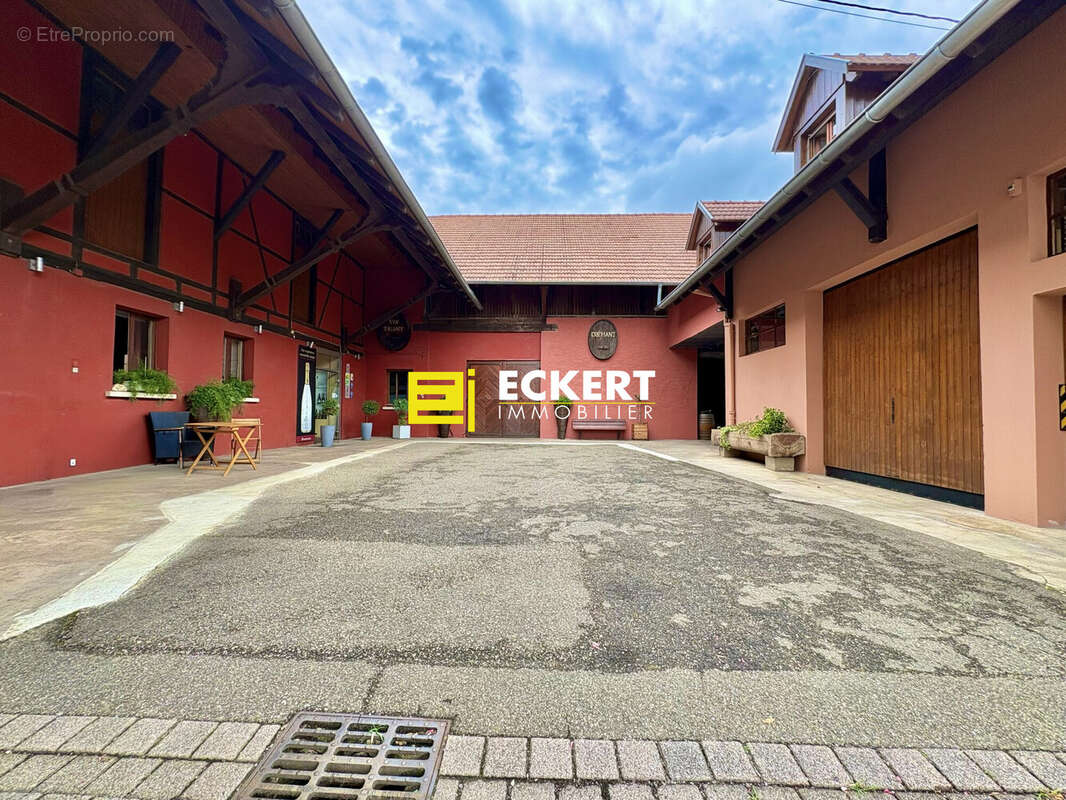 Maison 300 m² à Dorlisheim  - photo 2
