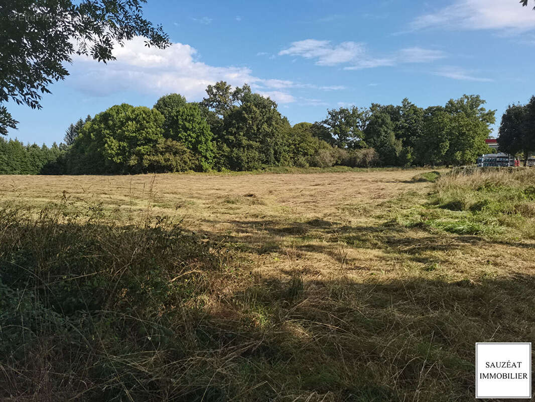 Terrain à MAGNAC-BOURG