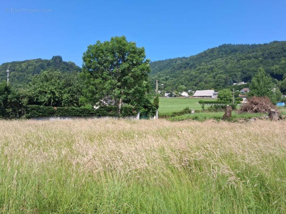 Terrain à POLMINHAC