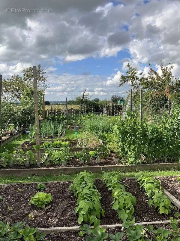 Maison à BEAUNE-D&#039;ALLIER