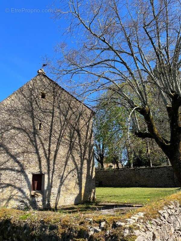 IMG_8393 2.jpeg - Maison à SAINT-AVIT-SENIEUR