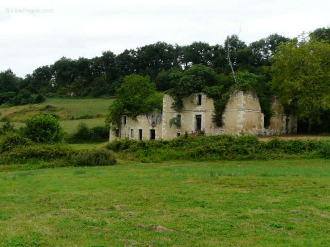 Ancienne Maison de Maître terre et bois 6 Ha - photo 5
