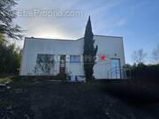 Commerce à GRAULHET