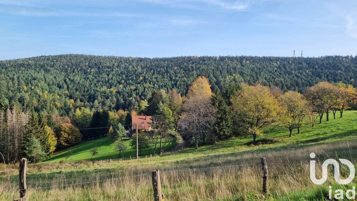 Photo 1 - Terrain à DABO