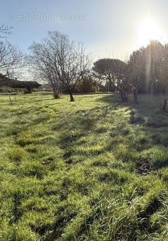 Terrain à SAINT-SAUVEUR
