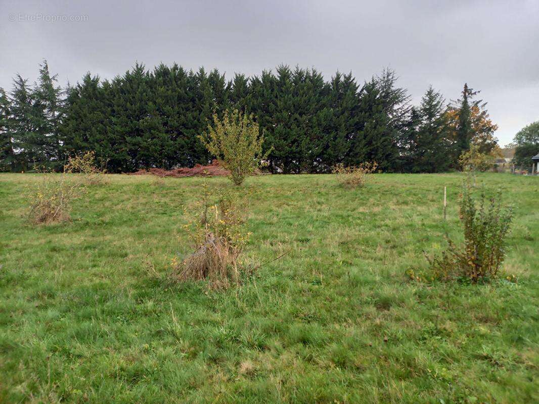 Terrain constructible Durtal centre 5 206 m2 - photo 4