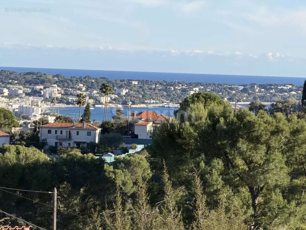 Terrain à VALLAURIS