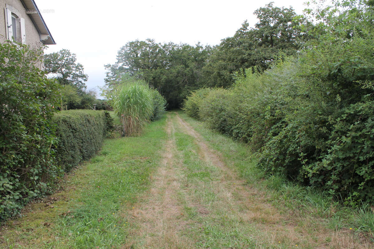 Champillet - Ancienne maison de chemin de fer avec extension sur un terrain de 1260 m2 - photo 28