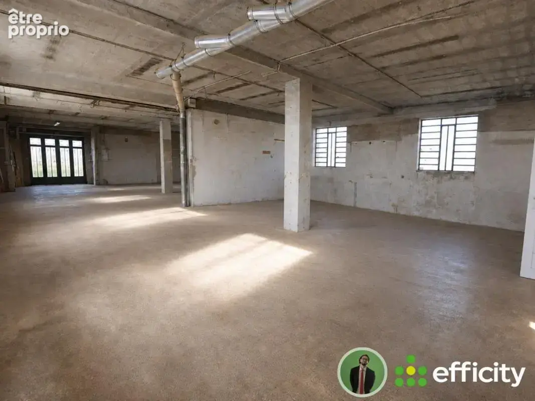 Maison 4 pièces 250 m² à vendre à Decines-Charpieu (69150) - photo 9
