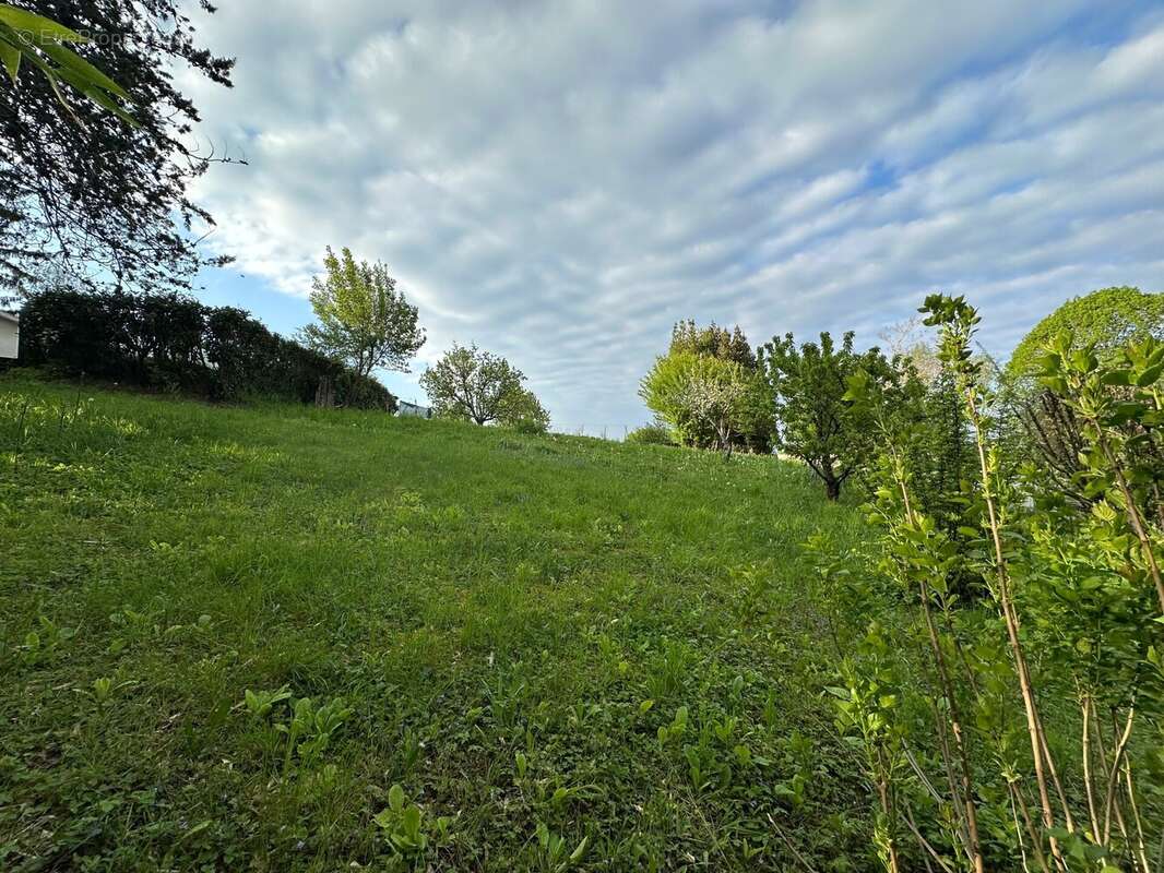 Terrain à MONTREVEL-EN-BRESSE