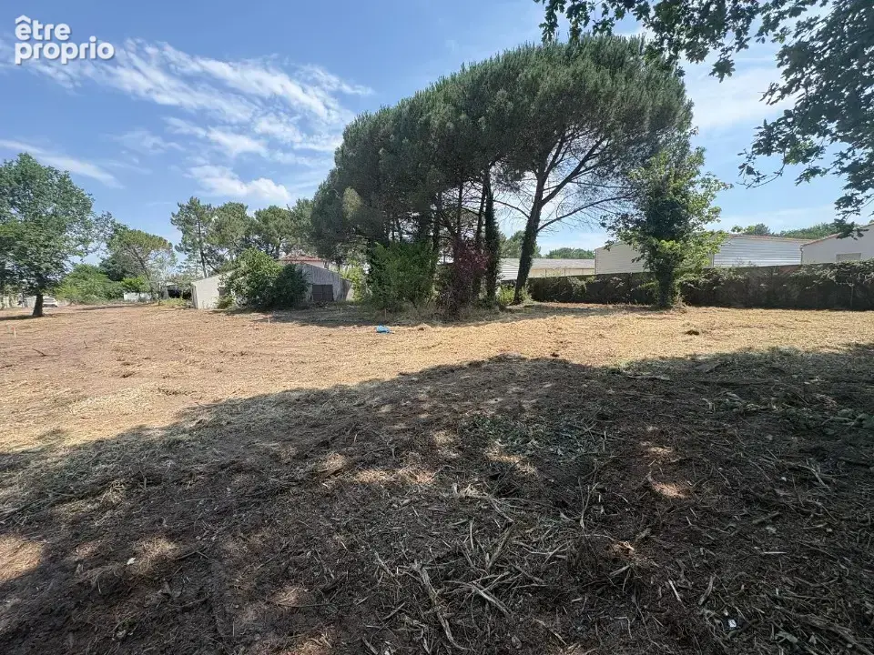 Terrain à LES MATHES