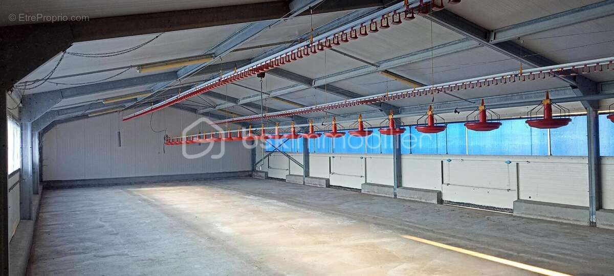 Maison à SORT-EN-CHALOSSE