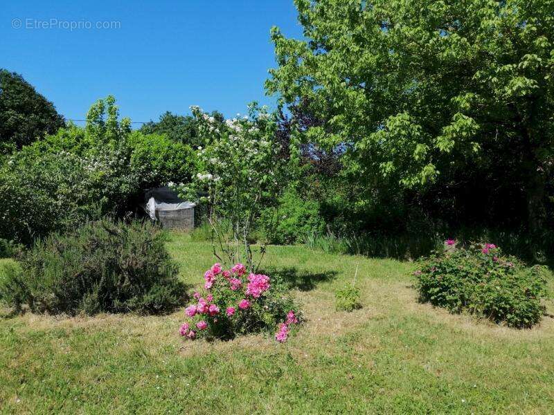 Maison à SAINTE-LIVRADE-SUR-LOT