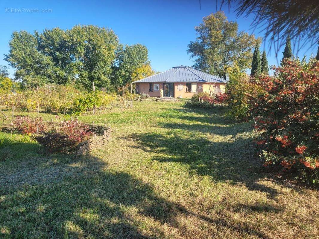 Commerce à CASTELNAU-DE-LEVIS