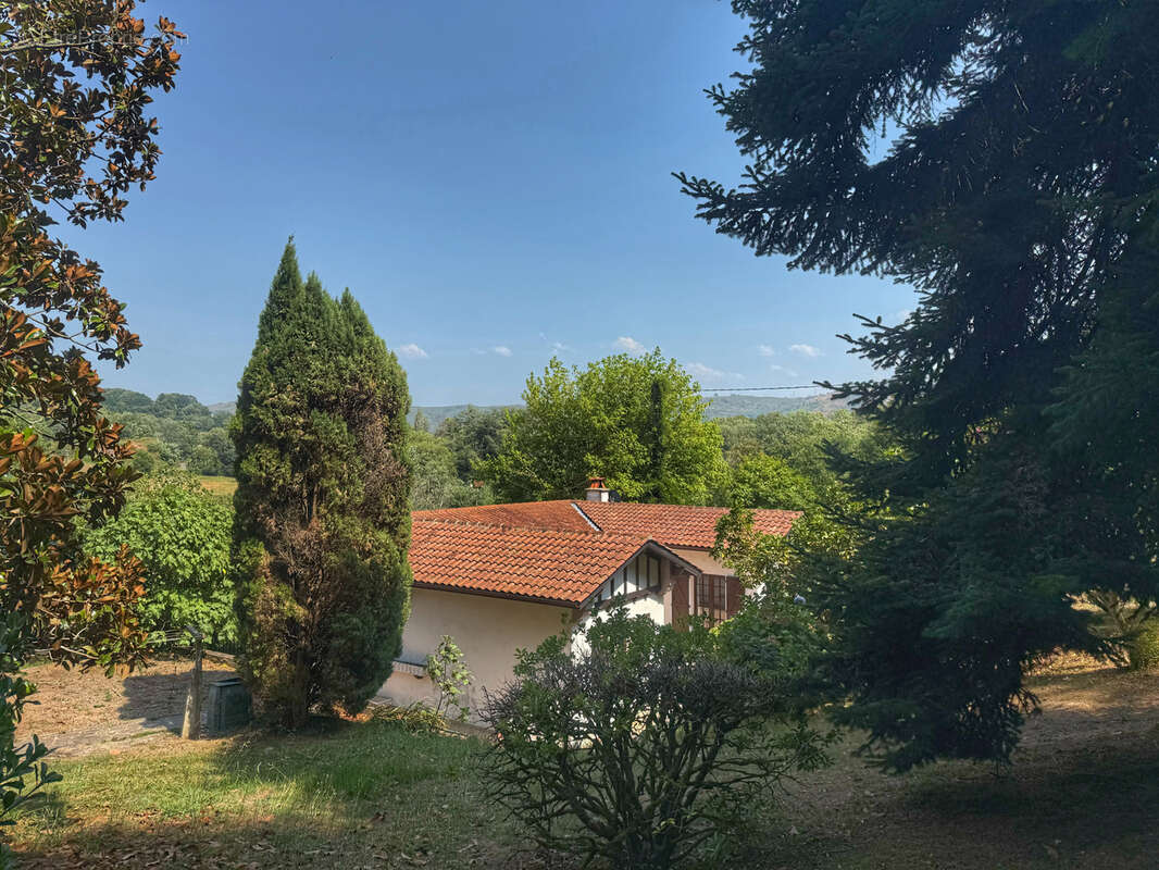 Maison de plain pied avec parc arboré de 2472m2 - photo 5