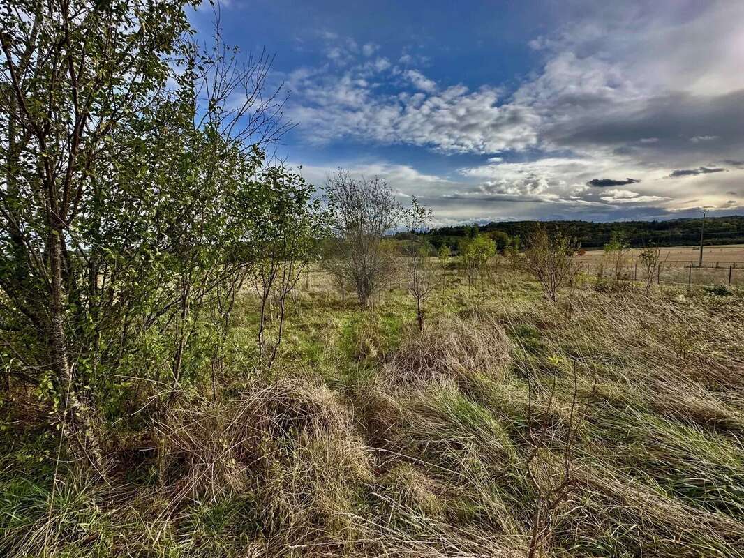Terrain à CIADOUX