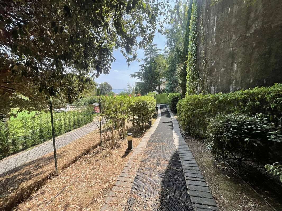 Cannes californie 320 m2 murs libres atypique local commercial ou professionnel 320 m2 prestigieux à cannes-quartier californie - photo 8