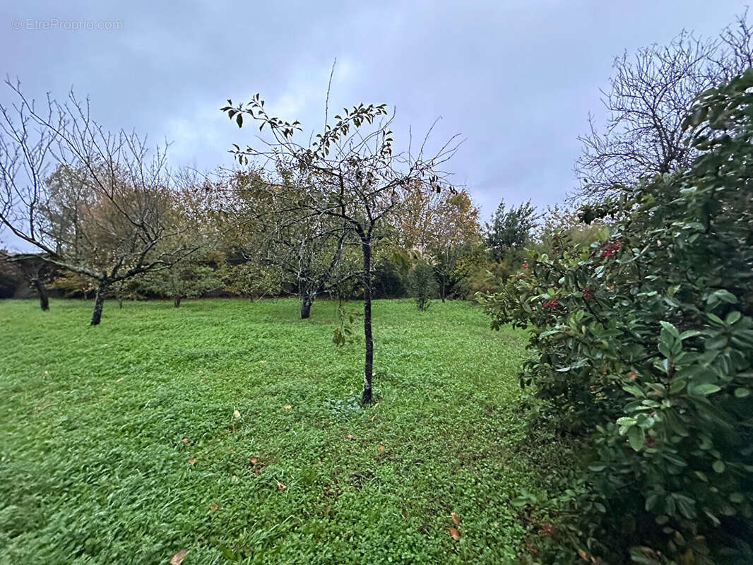 Maison à SAINT-JUST-LUZAC