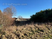 Terrain à LADIGNAC-LE-LONG