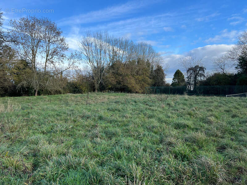 Terrain à SAINT-PIERRE-AZIF