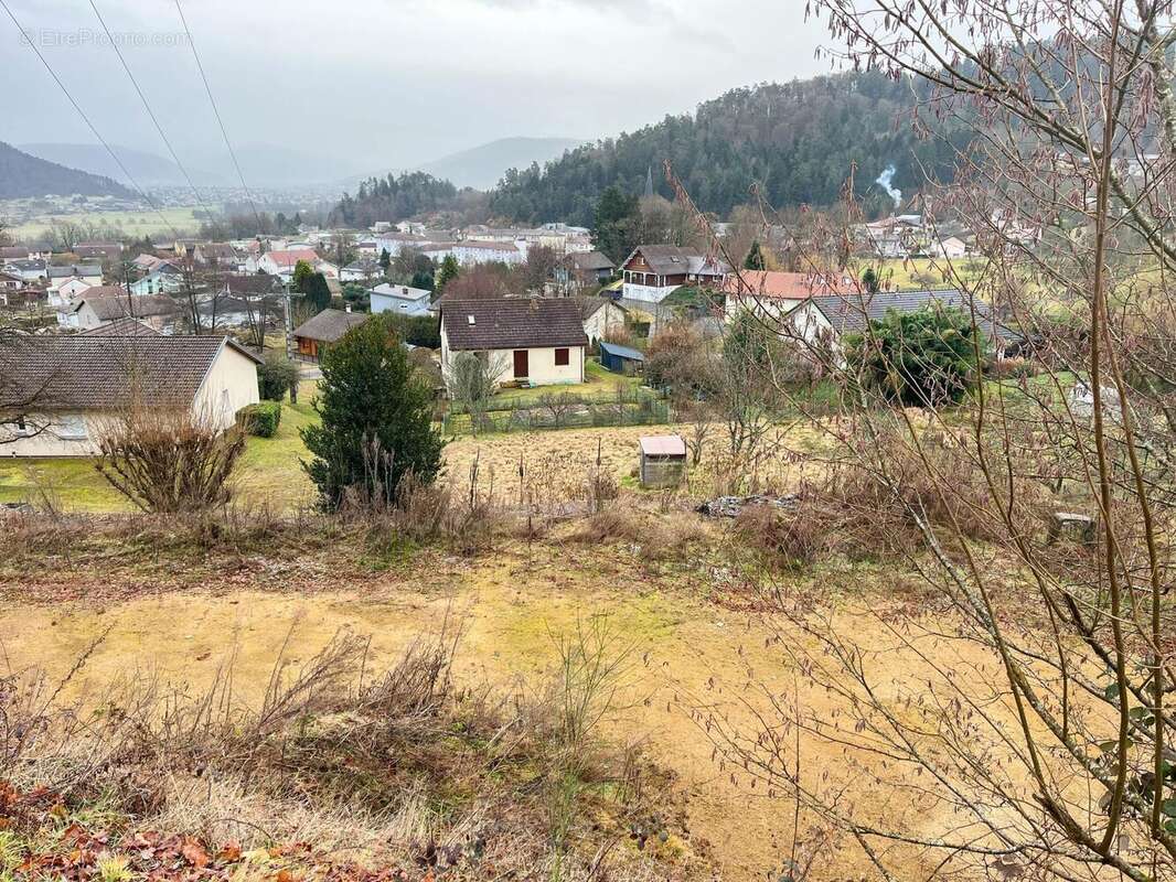 Photo 4 - Terrain à SAINT-NABORD