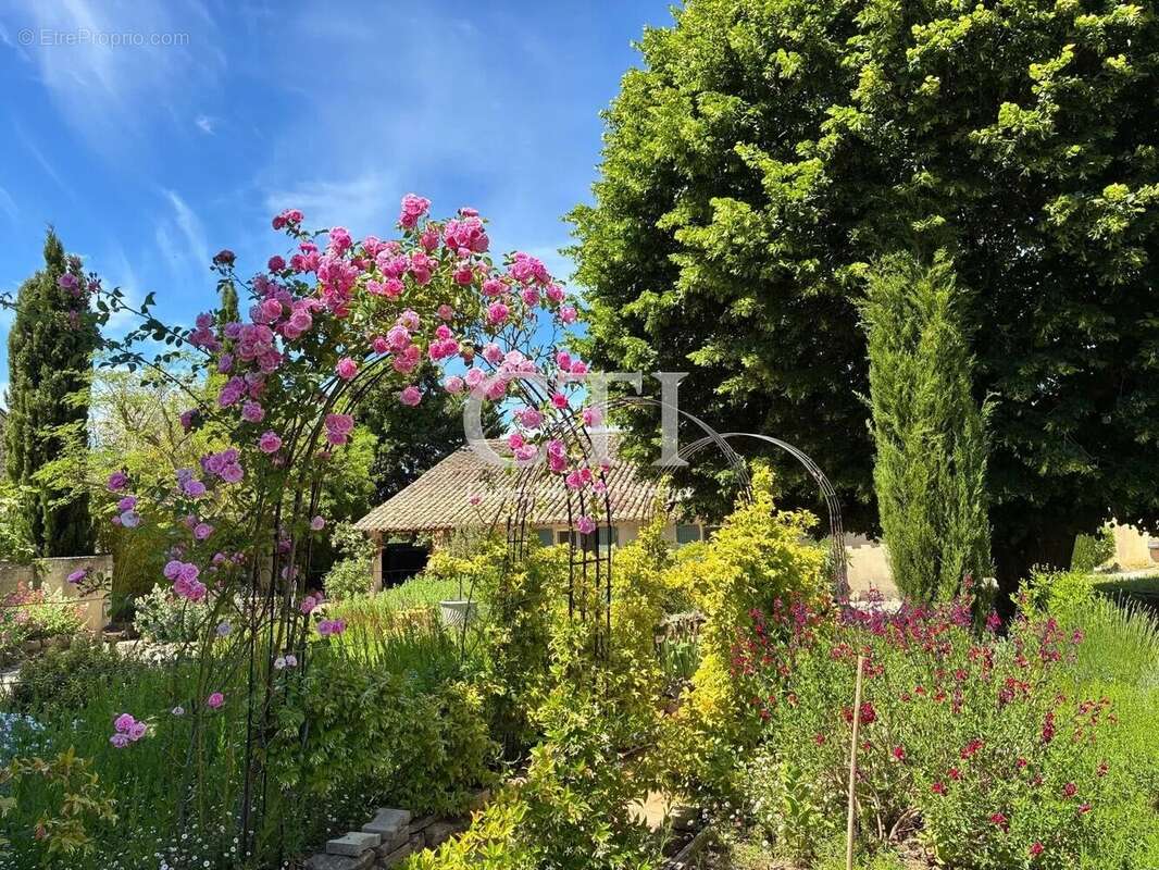 Vaison-la-Romaine – Maison en pierre rénovée de 168 m², 4 chambres, piscine - photo 7