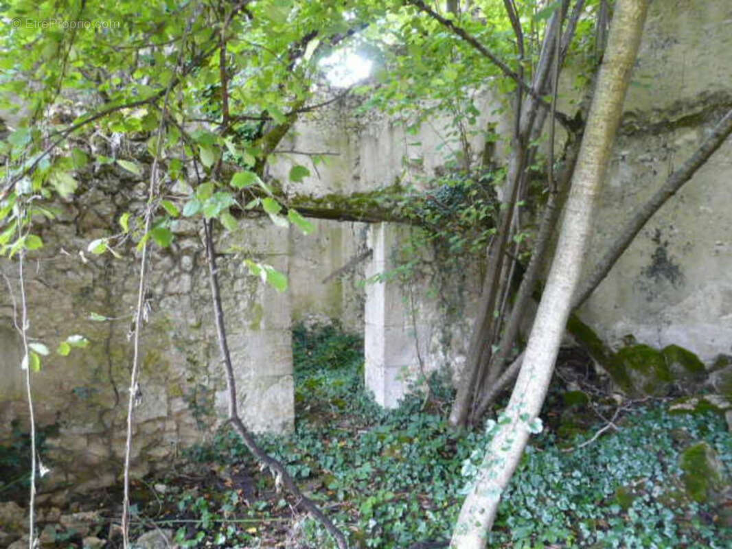 Ancienne Maison de Maître terre et bois 6 Ha - photo 10