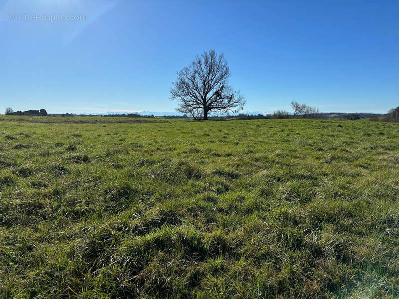 Dpt Gers (32), AIGNAN à vendre terrain de 4 400,00 m² - photo 6
