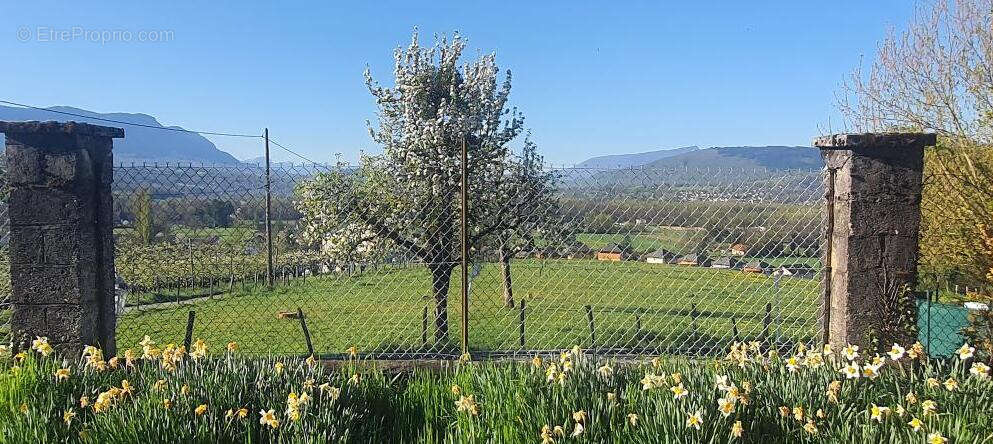 Terrain à SAINT-FELIX