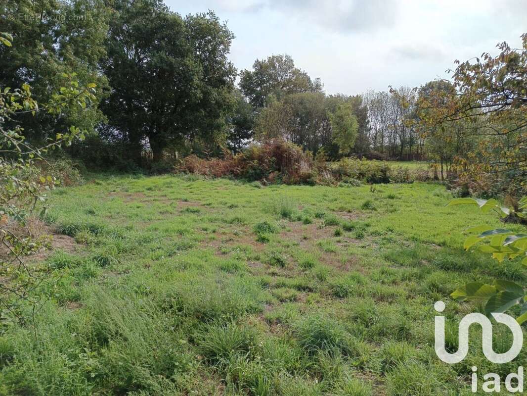 Photo 9 - Maison à MOUILLERON-EN-PAREDS