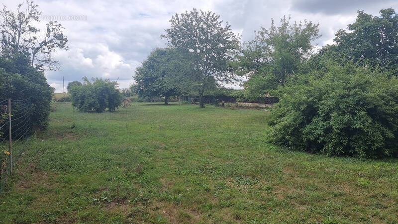 Terrain à SAINT-VALLIER