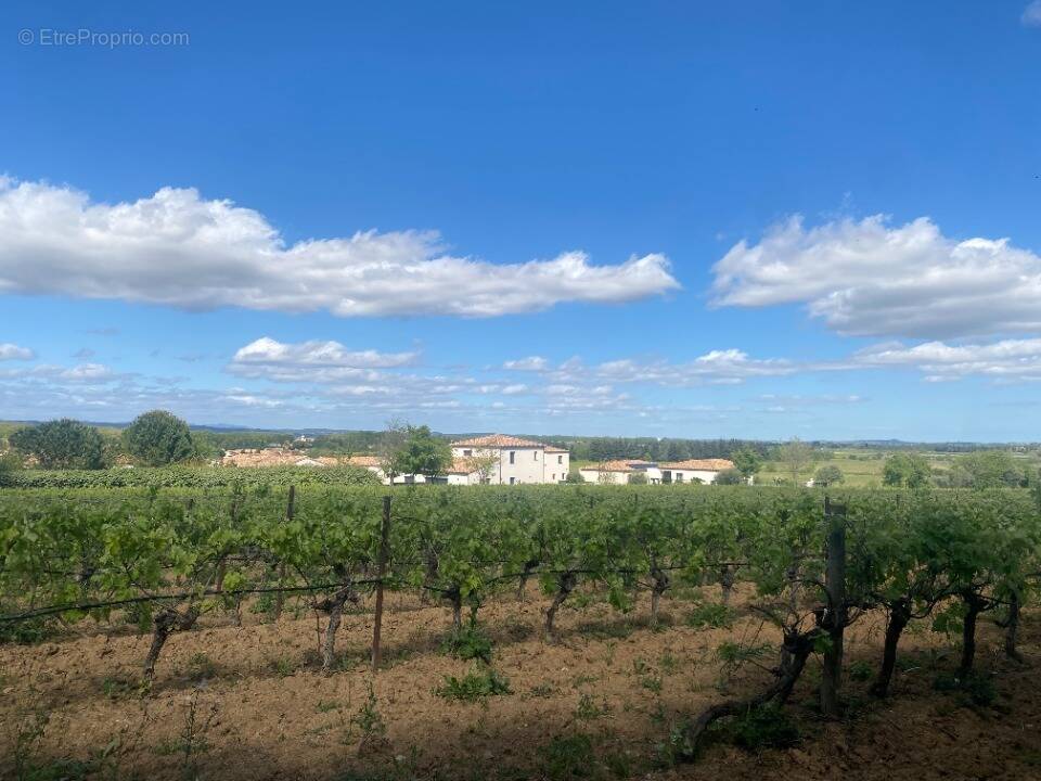 Terrain à GINESTAS