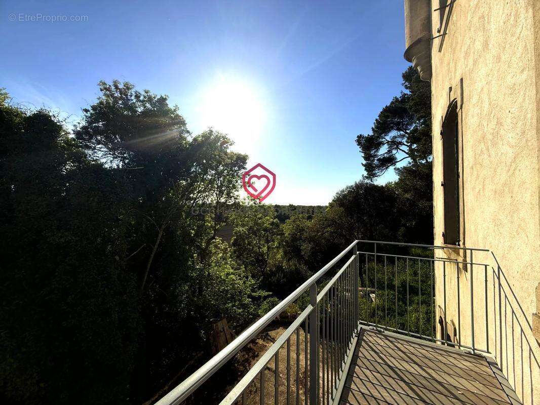 Élégante propriété napoléonienne sur 2,4 hectares – Vue panoramique Pyrénées 20 min de CARCASSONNE - photo 11