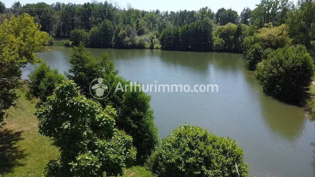 Maison de caractère - 155m² - 8 hectares - photo 6