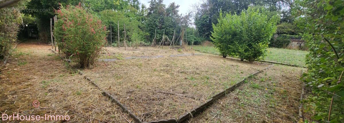 Terrain à MARTIGNE-BRIAND