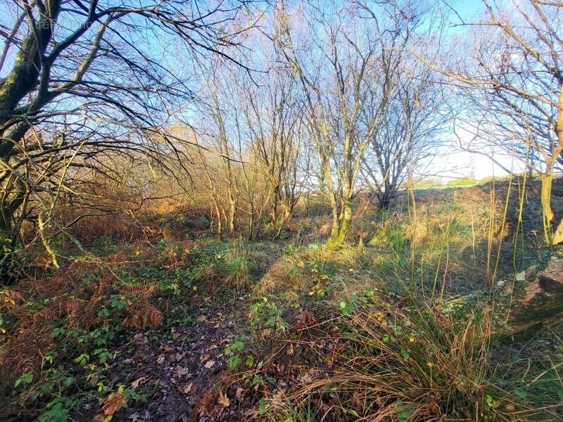 Terrain à TELGRUC-SUR-MER